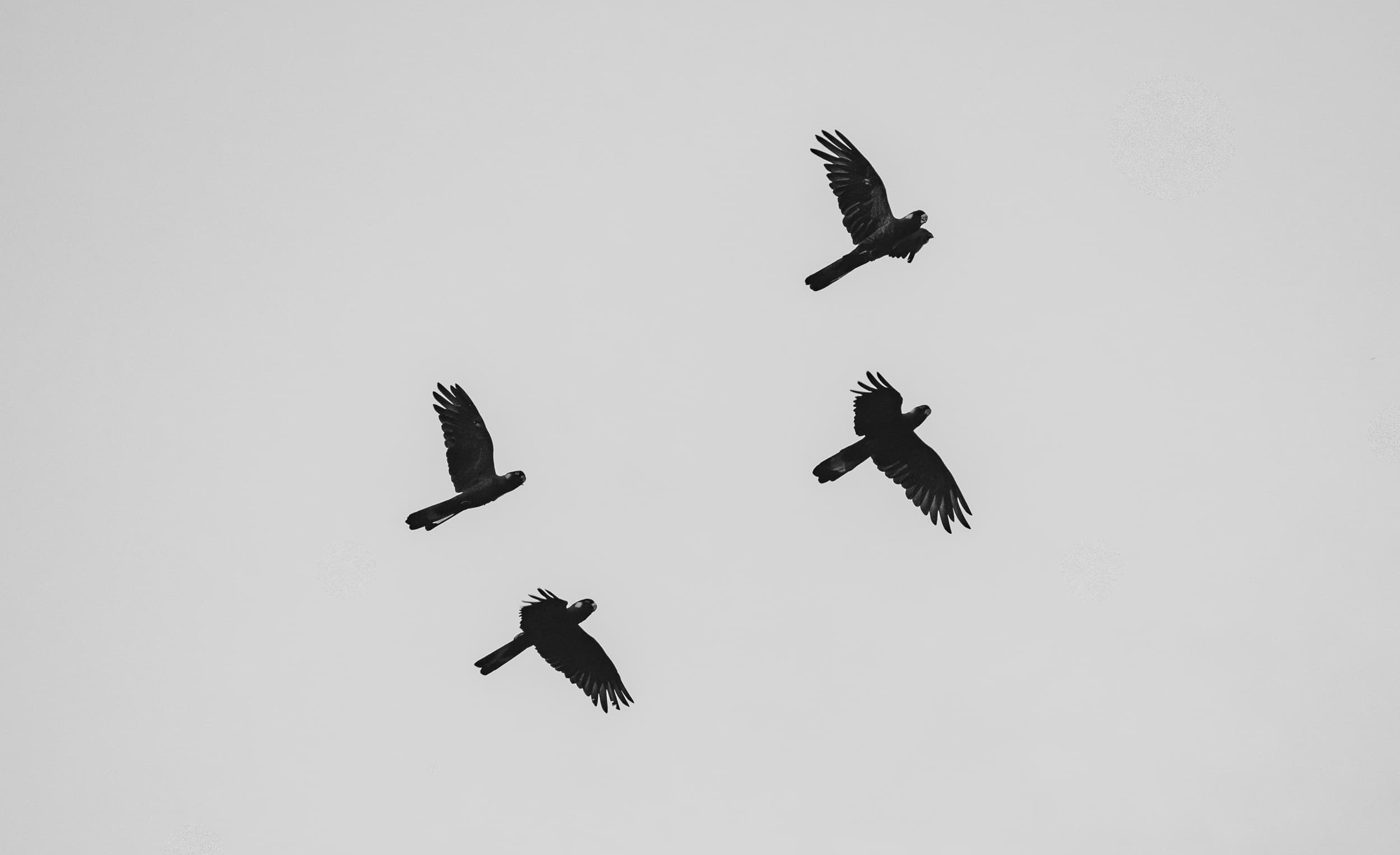 Untitled — long view